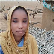 Professeur d'arabe, donne cours particuliers en arabe